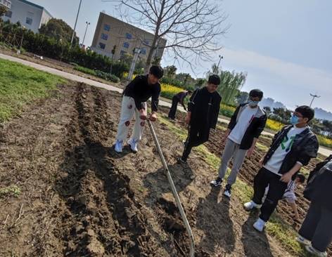 說明: D:\教科室\教科室2022年工作\2022年課程基地\2022.3.30種植體驗（板藍根和紫花地?。‐IMG_20220330_094921.jpg