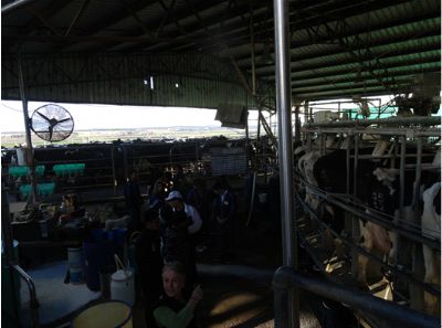 澳大利亞旅修專題報道(九) 澳大利亞旅修專題報道(九)