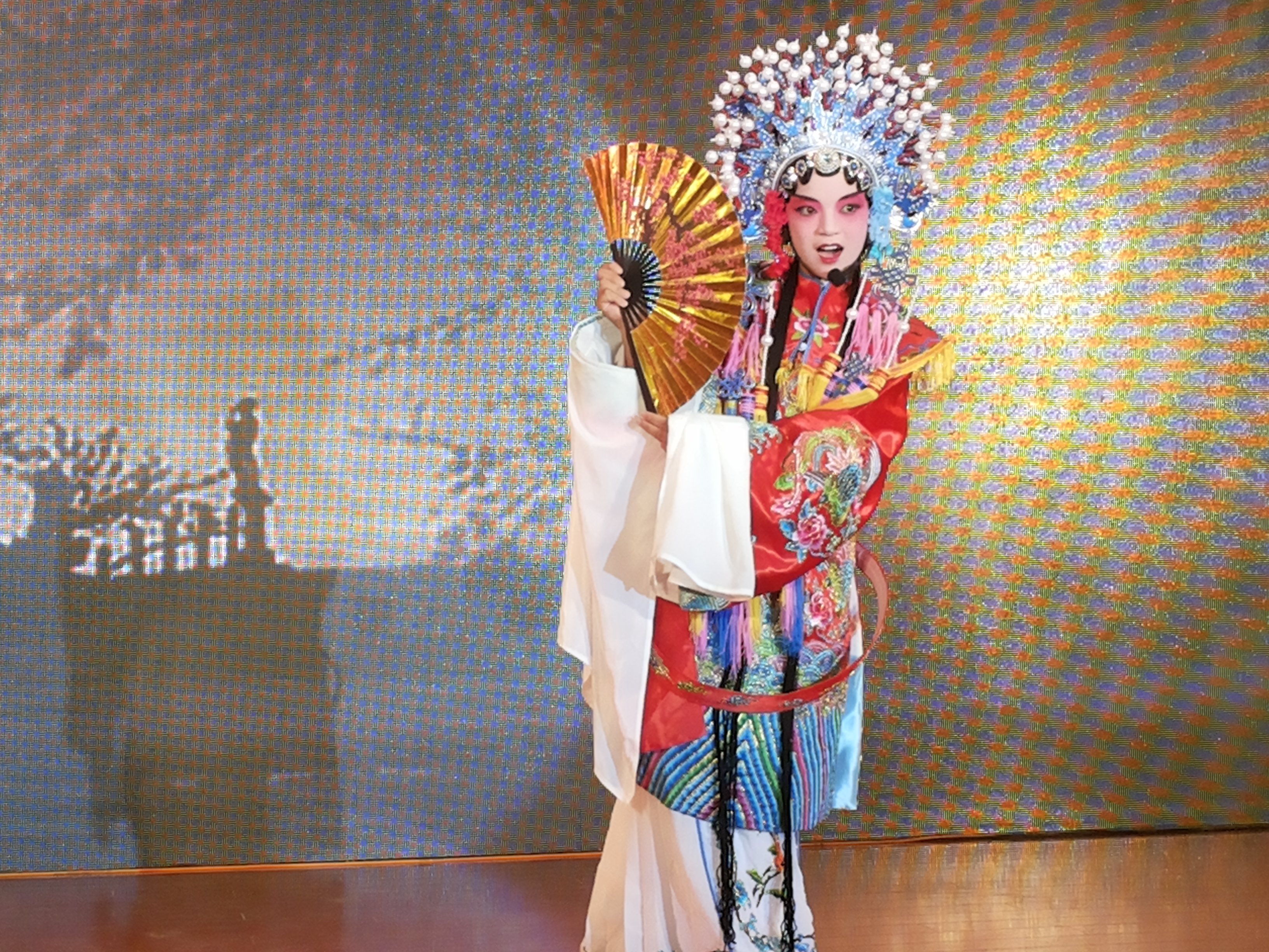 拉特羅布市管弦樂隊與我校舉行音樂聯誼會 拉特羅布市管弦樂隊與我校舉行音樂聯誼會