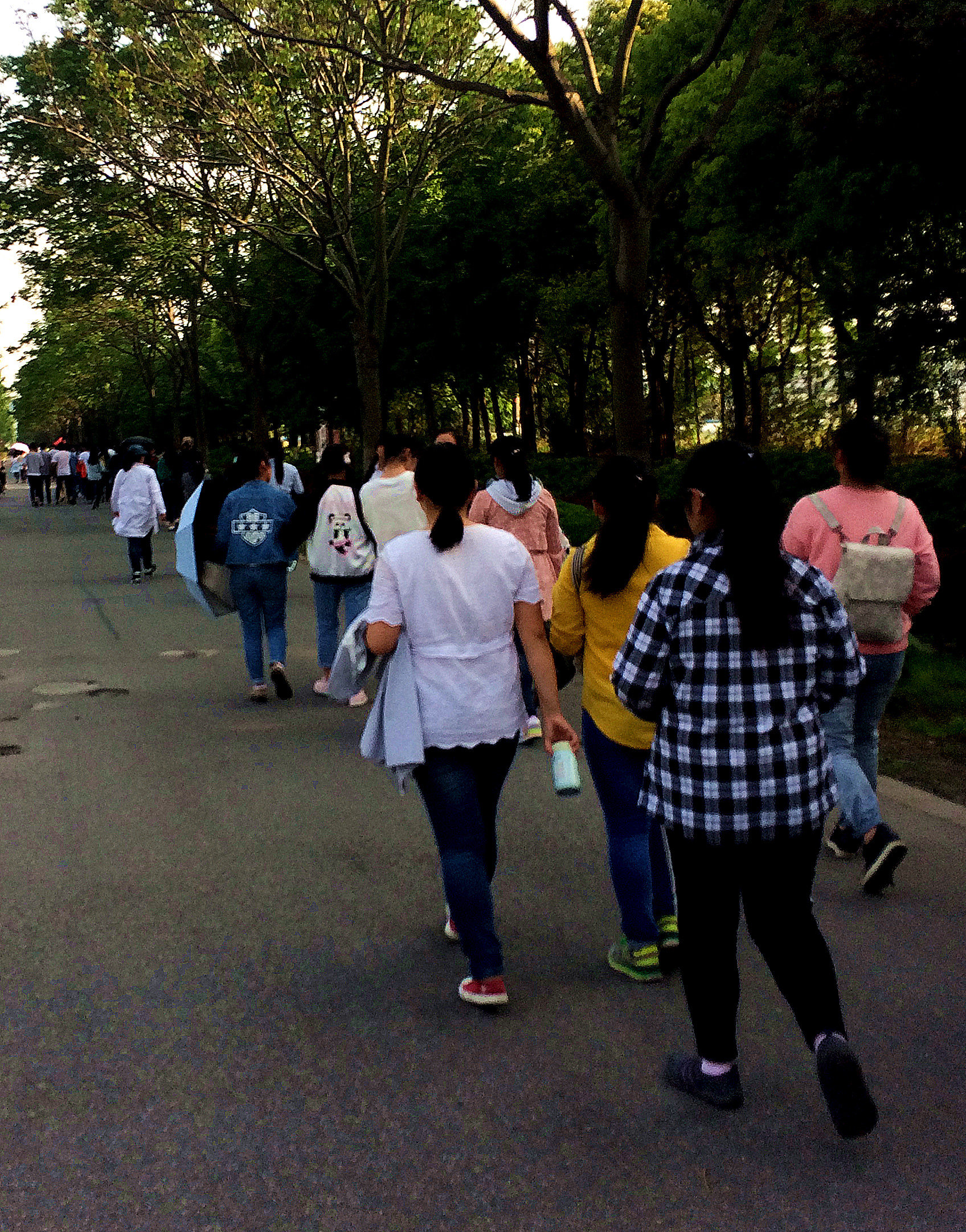 高三學生行走,磨練意志迎戰高考 高三學生行走,磨練意志迎戰高考