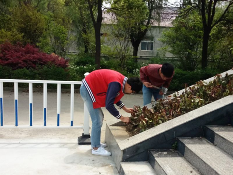梓桐園藝社開展“植樹添綠”活動 梓桐園藝社開展“植樹添綠”活動