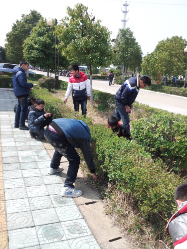 學(xué)校組織志愿者開展義務(wù)撿垃圾行動(dòng) 學(xué)校組織志愿者開展義務(wù)撿垃圾行動(dòng)