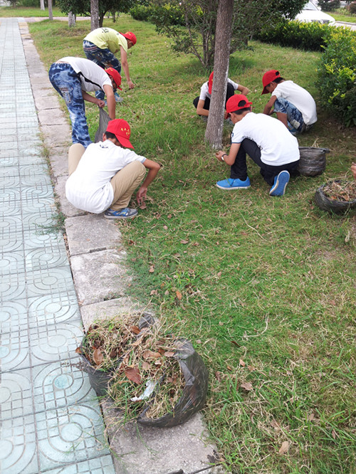 我校志愿者開展拔草活動 我校志愿者開展拔草活動