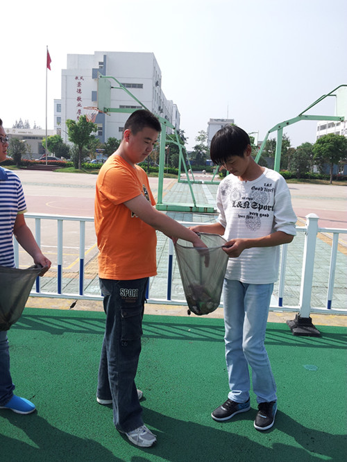 開展校園義務撿垃圾活動 開展校園義務撿垃圾活動