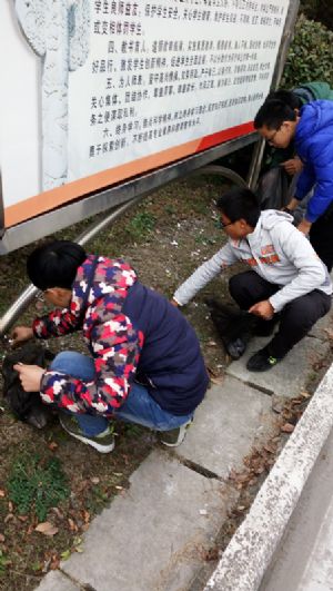 我校團委組織青年志愿者參加美化校園義務勞動 我校團委組織青年志愿者參加美化校園義務勞動