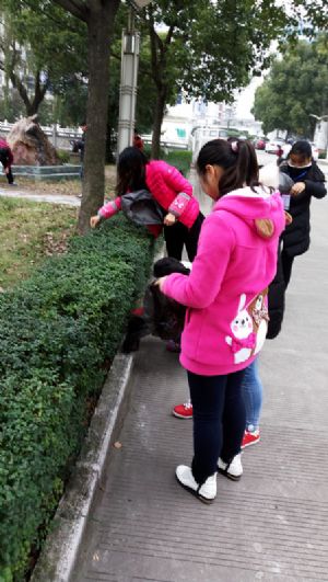 我校團委組織青年志愿者參加美化校園義務勞動 我校團委組織青年志愿者參加美化校園義務勞動