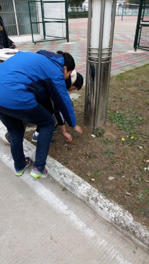 我校團委組織青年志愿者參加美化校園義務勞動 我校團委組織青年志愿者參加美化校園義務勞動